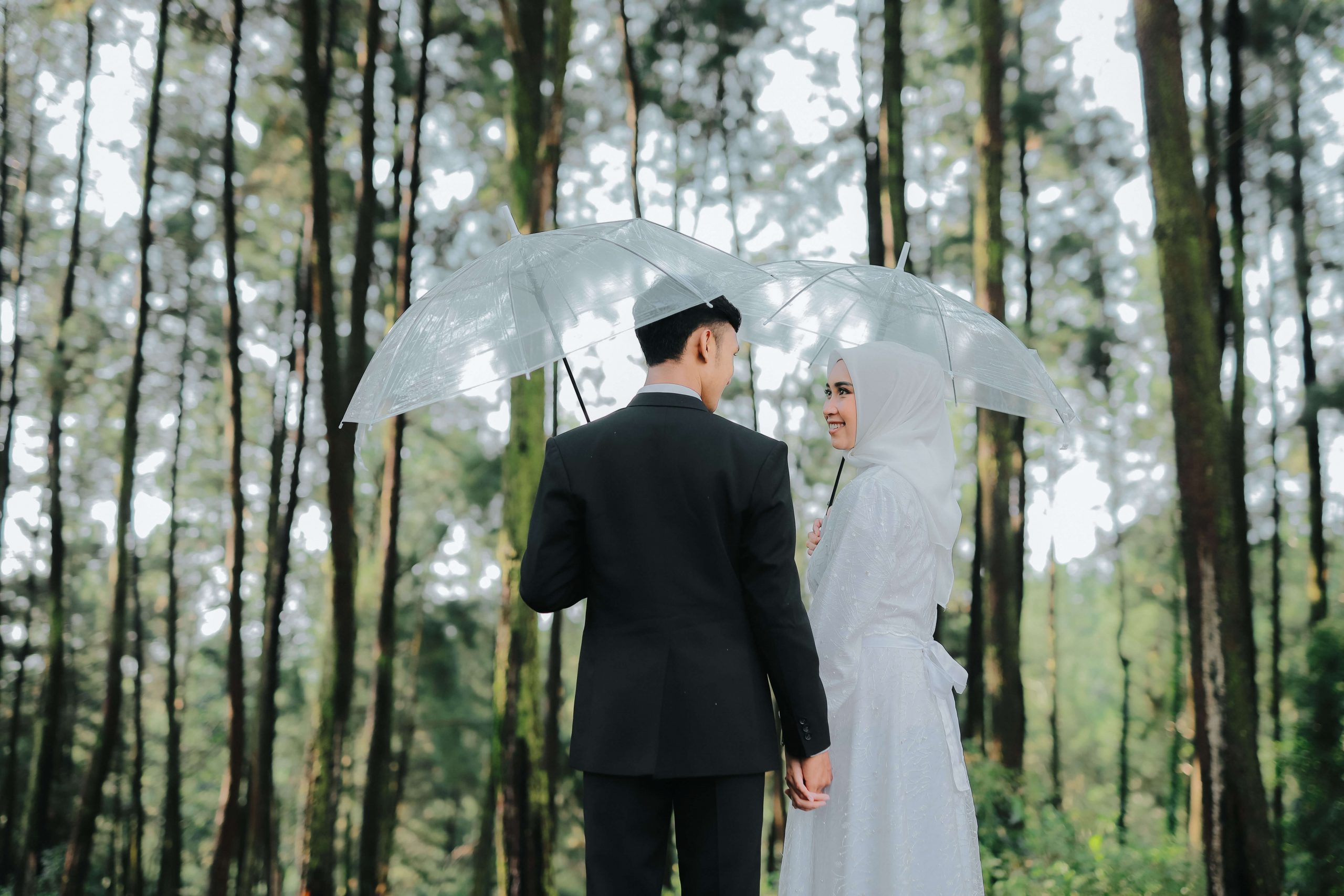 wildan fitri | olive