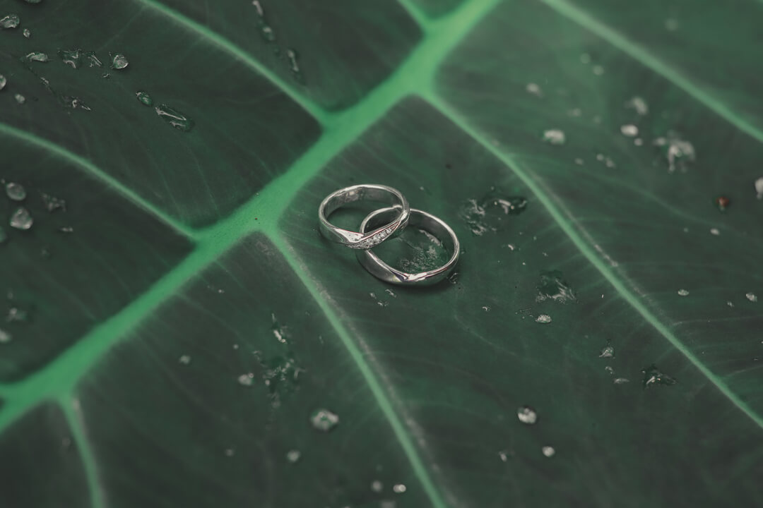 Walimatul ‘urs Alvi & Kala