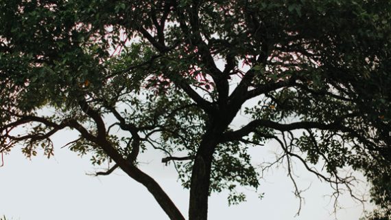 Rendi & Riza | Glamour