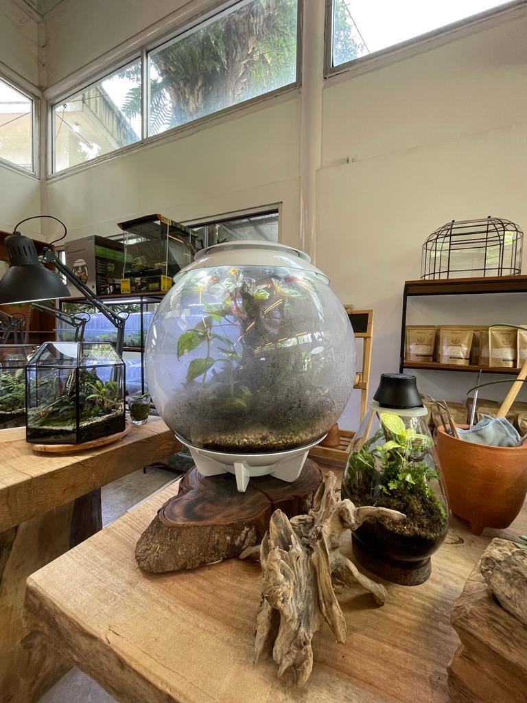 WhatsApp Image 2023-04-14 at 19.18.54