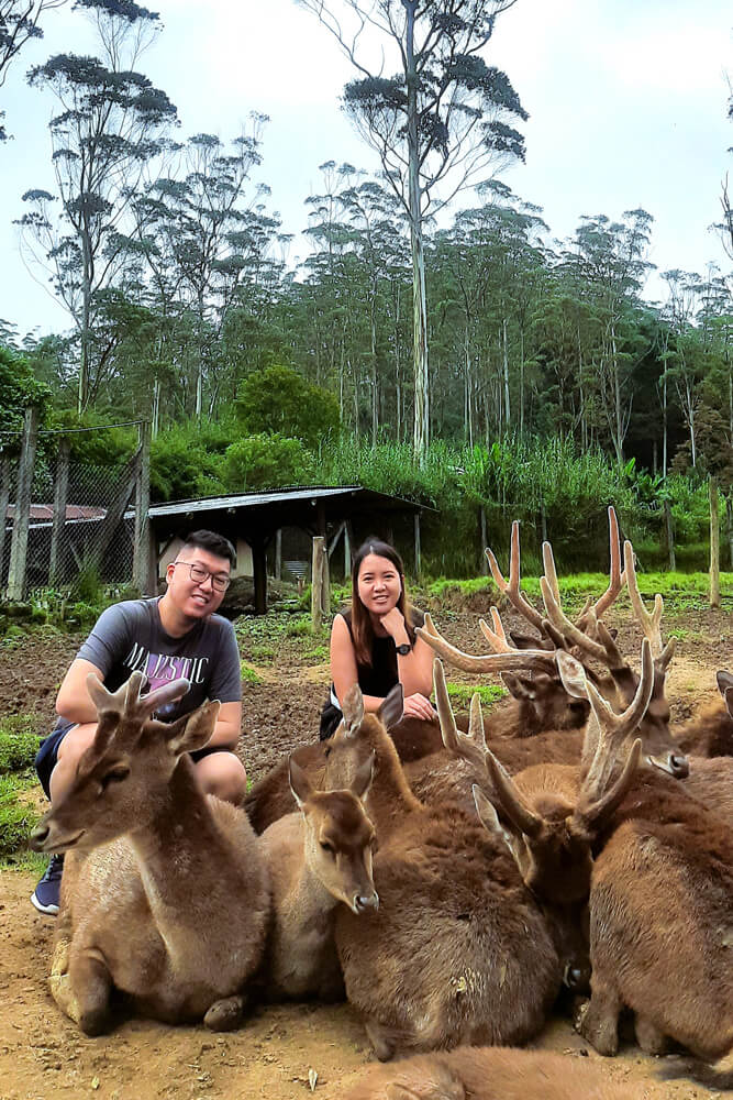 Copy of 20220611_152632