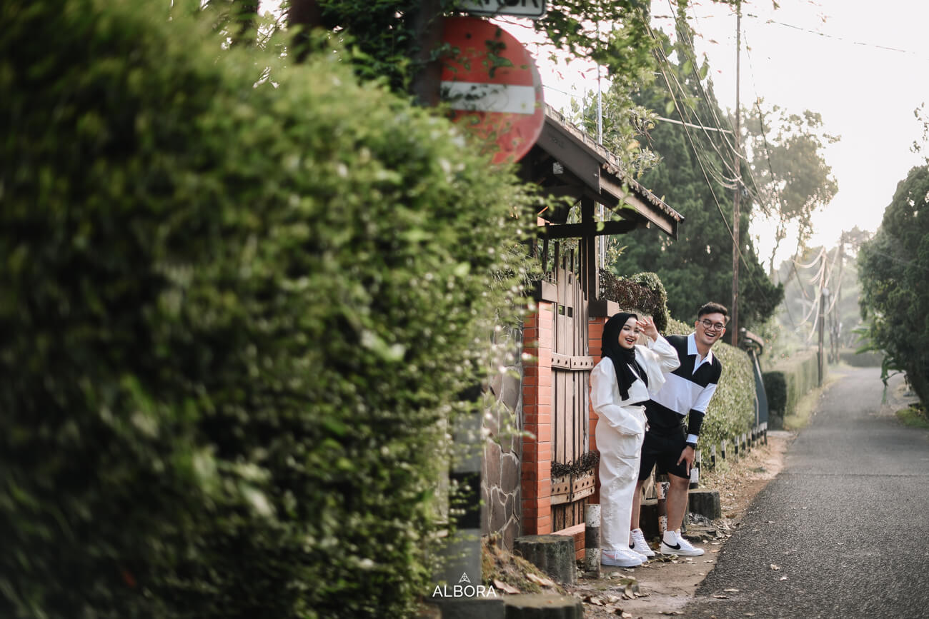 Our Gallery Landscape 5