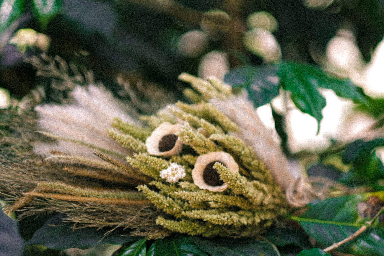 alfa isye (18 of 108)