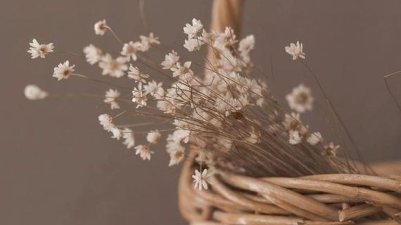 Endah & Kunto | mewa