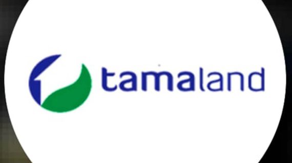 Grand Opening Tamaland 2 | Luxy