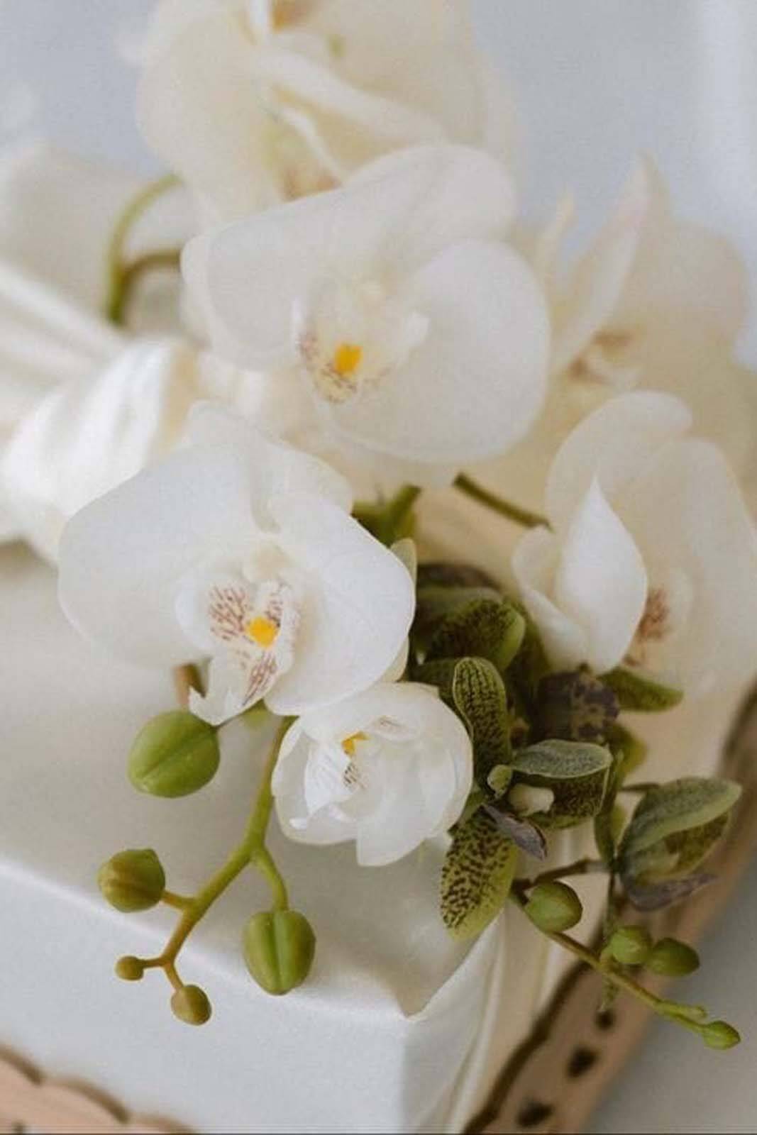 WhatsApp Image 2024-01-29 at 18.50.50