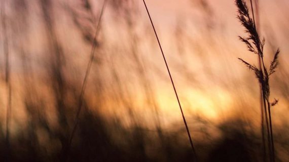 TANPA FOTO | Glamour