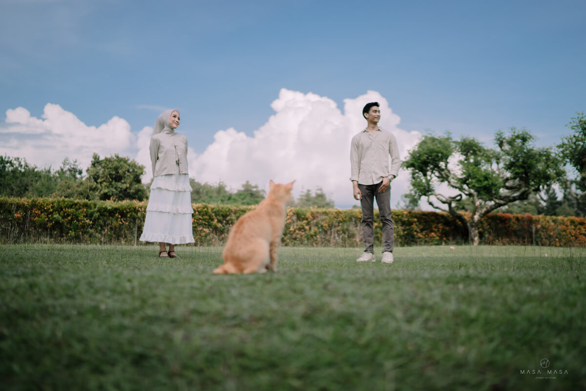 9. Our gallery landscape