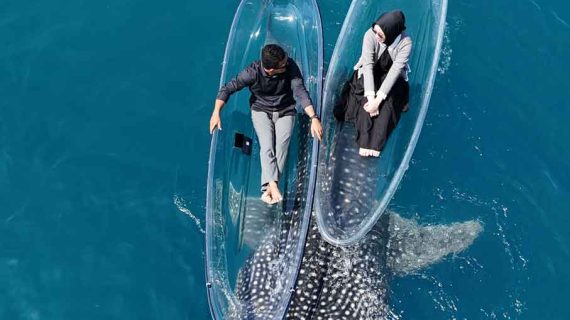 Icca & Fahri | Amara