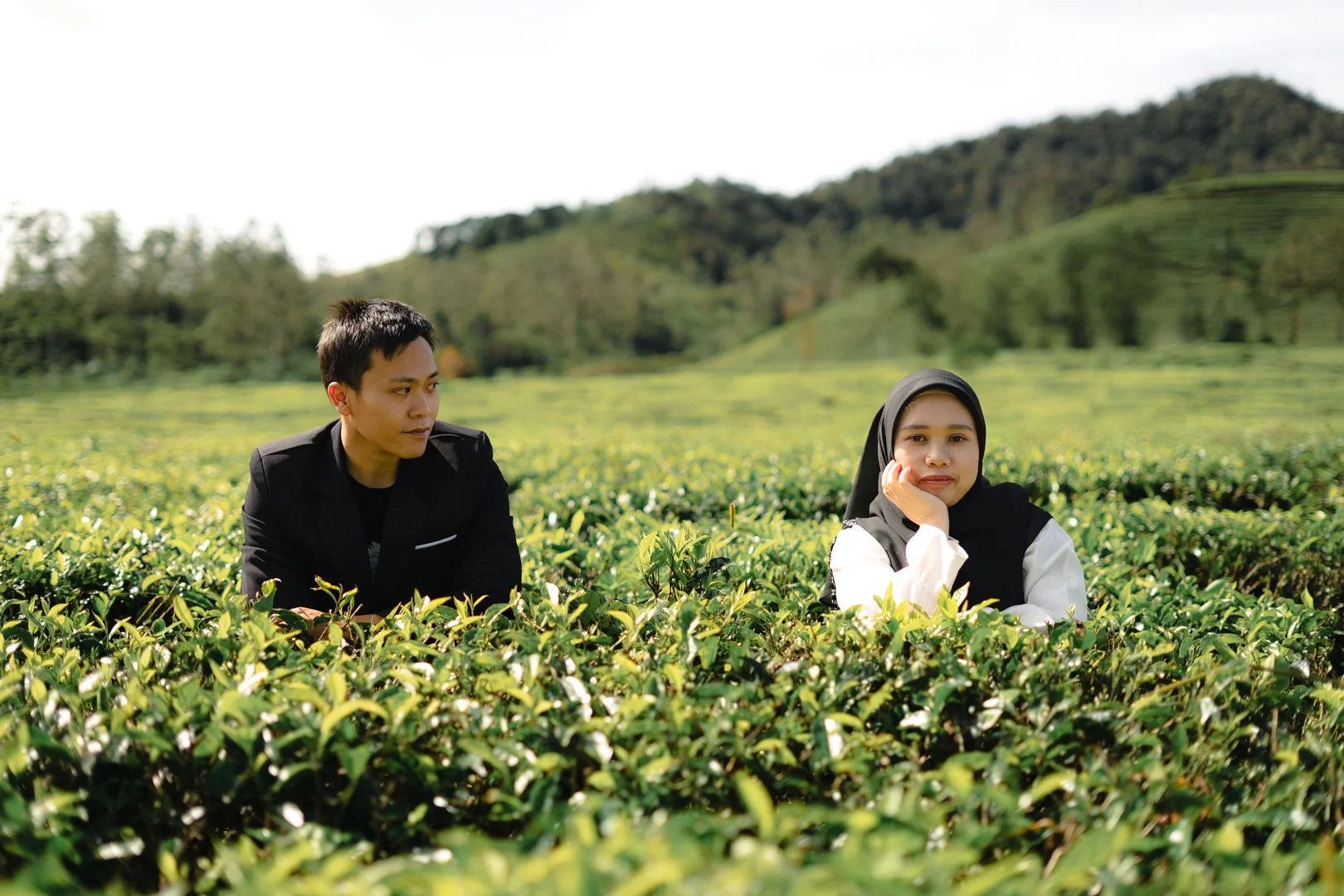 Our Gallery landscape(1)