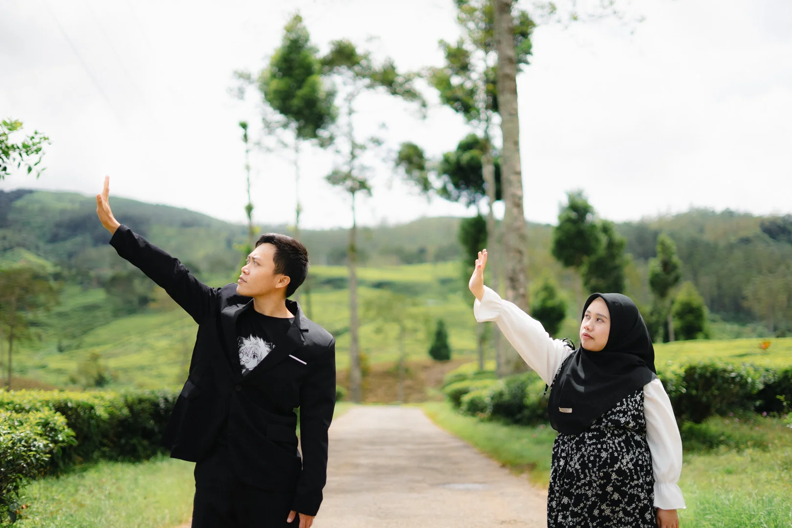 Our Gallery landscape(3)