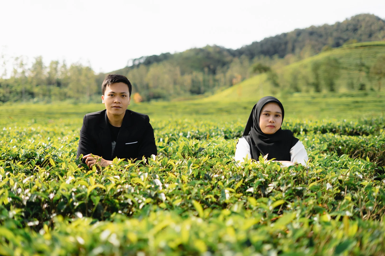 Our Gallery landscape(4)